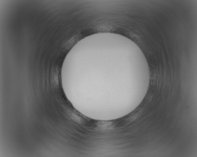 X0000060230334200511241313