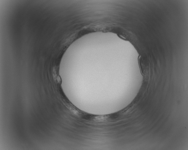 X0000060230335200511241313