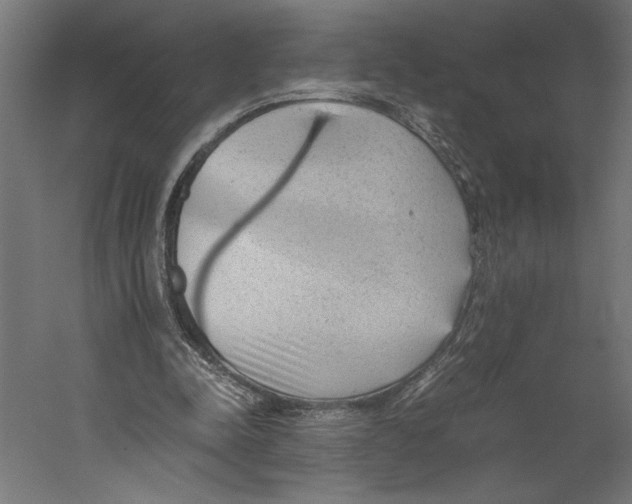 X0000060230342200511241312