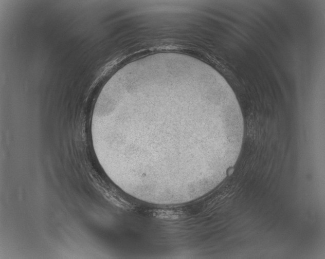 X0000060230347200511241312
