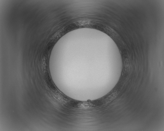 X0000060230372200511241313