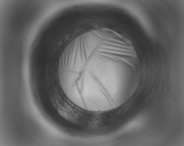 X0000060230383200511241313