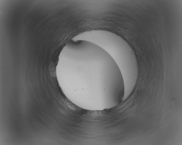 X0000060230384200511241313