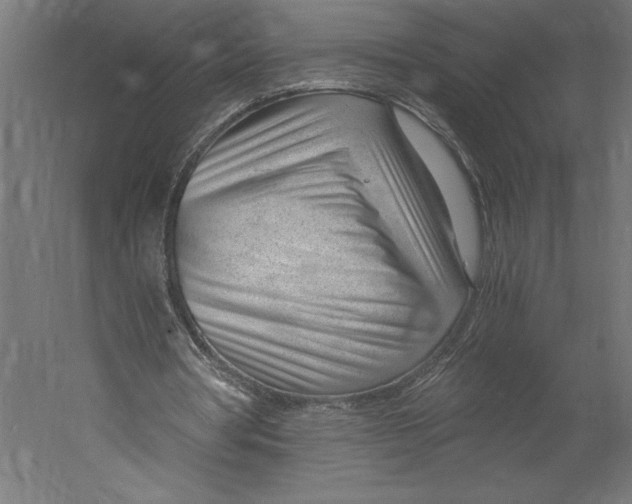 X0000060230386200511241312