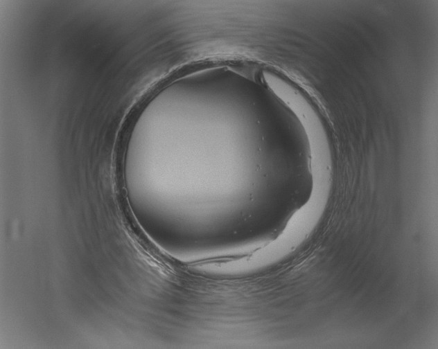 X0000060230391200511241312