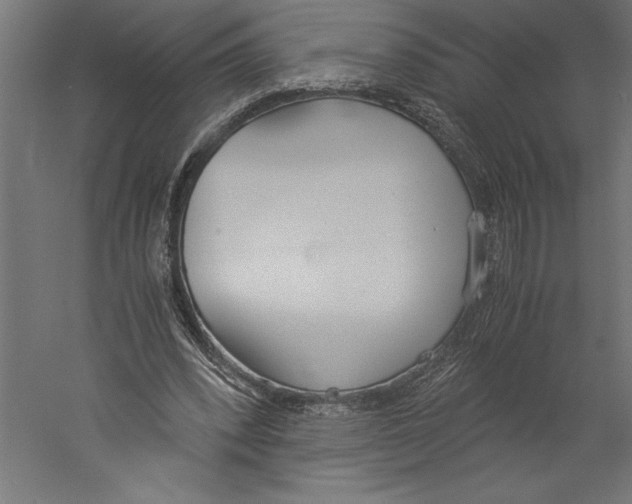 X0000060230392200511241312