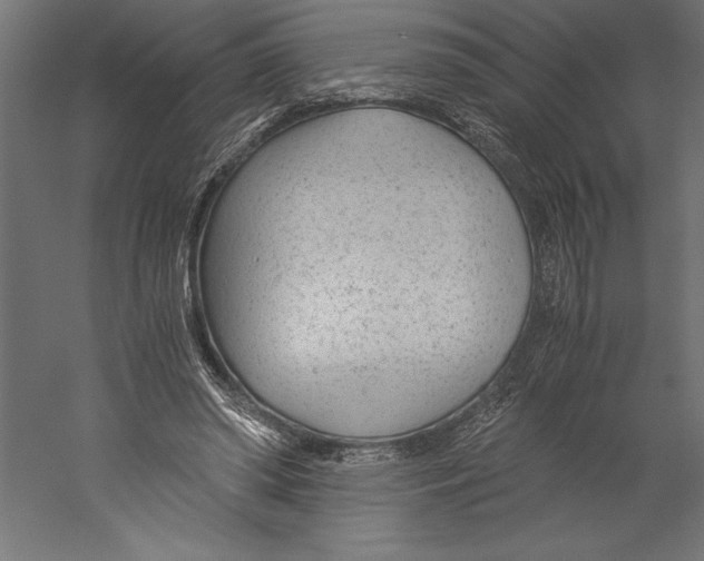X0000060230398200511241312