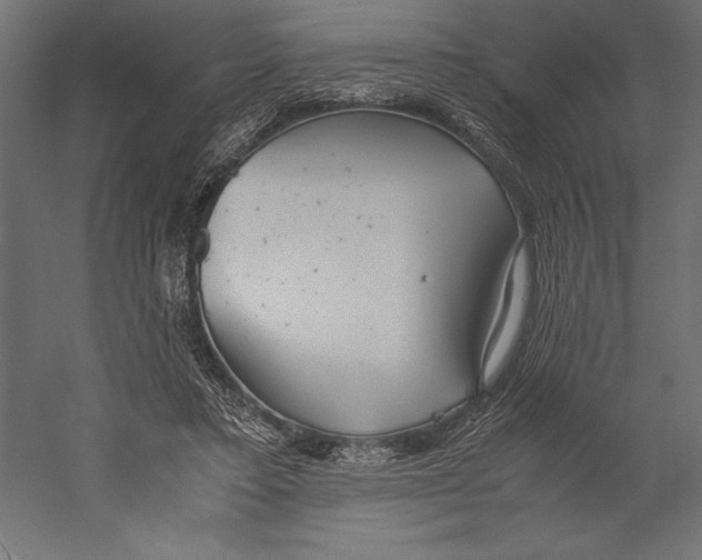 X0000060230403200511241312
