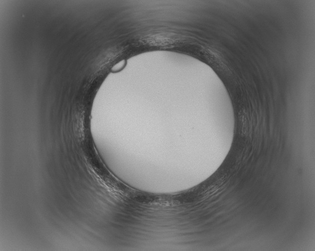 X0000060230404200511241312