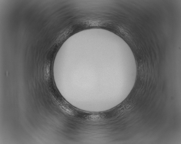 X0000060230406200511241312