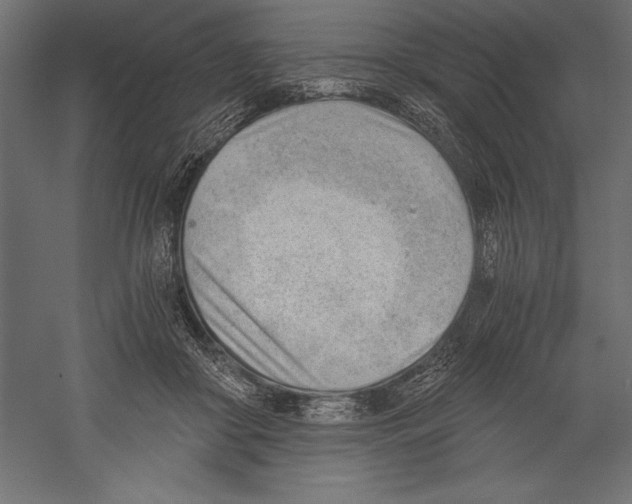 X0000060230410200511241312