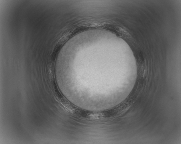X0000060230415200511241312