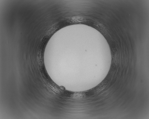 X0000060230418200511241312