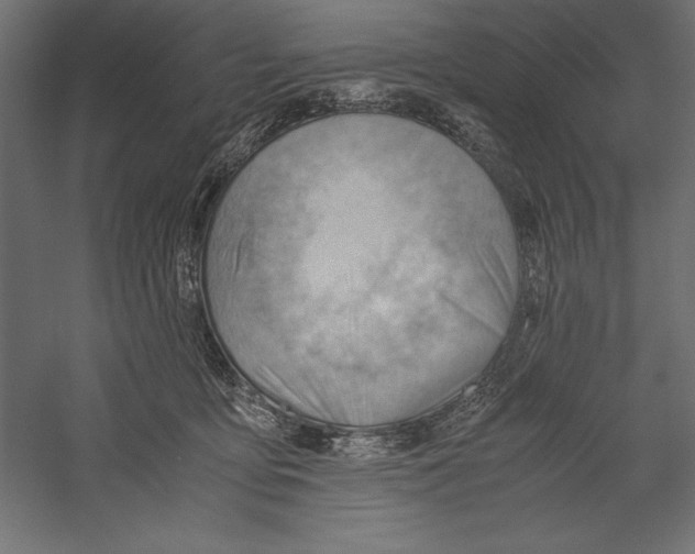 X0000060230419200511241312