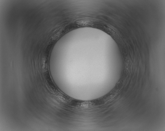 X0000060230420200511241312
