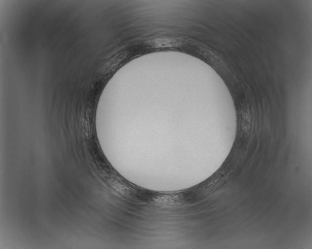X0000060230422200511241312