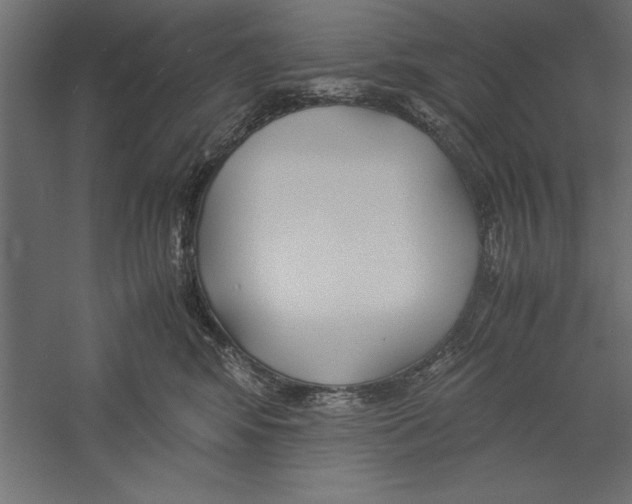 X0000060230424200511241312