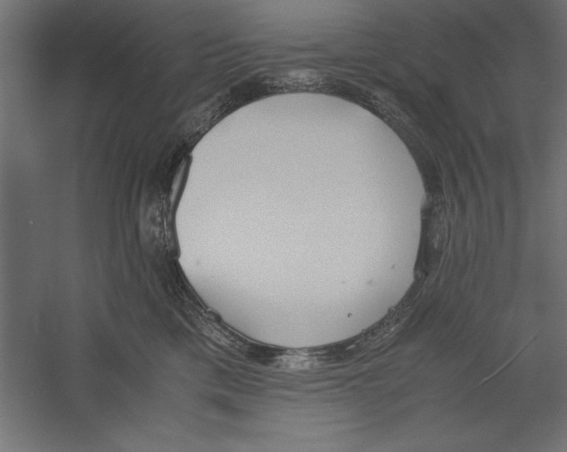 X0000060230425200511241311