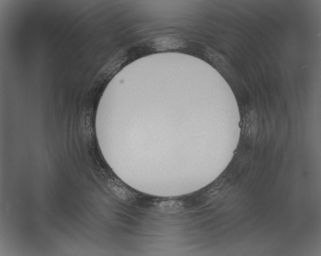 X0000060230426200511241311