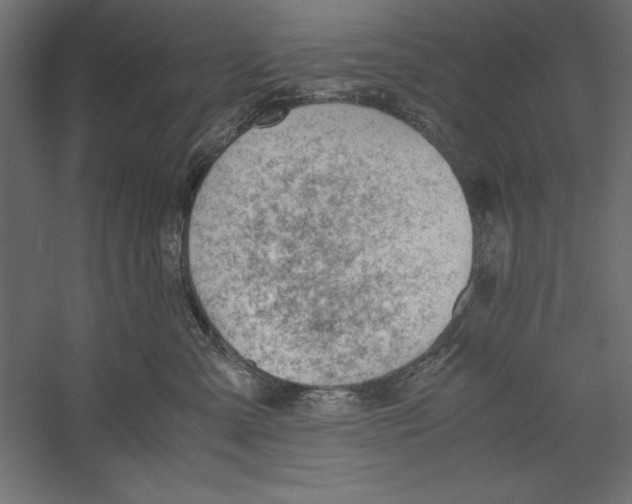 X0000060230427200511241311
