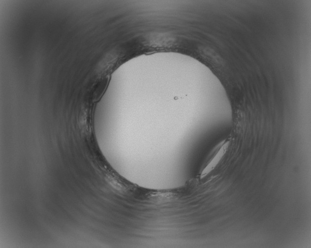 X0000060230428200511241311