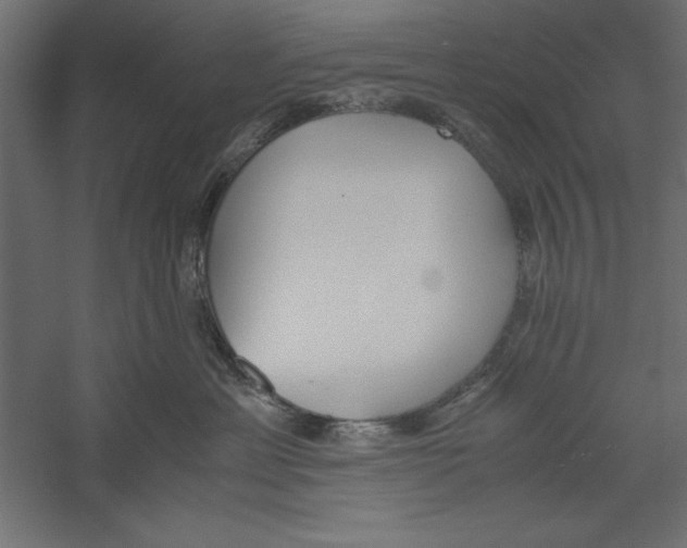 X0000060230429200511241311