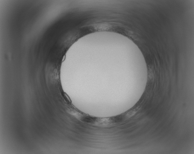 X0000060230431200511241311