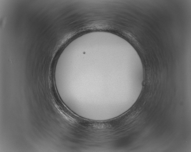 X0000060230439200511241311