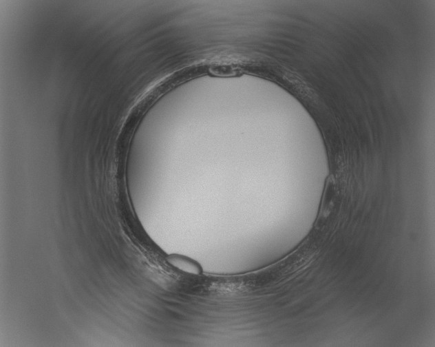 X0000060230440200511241311