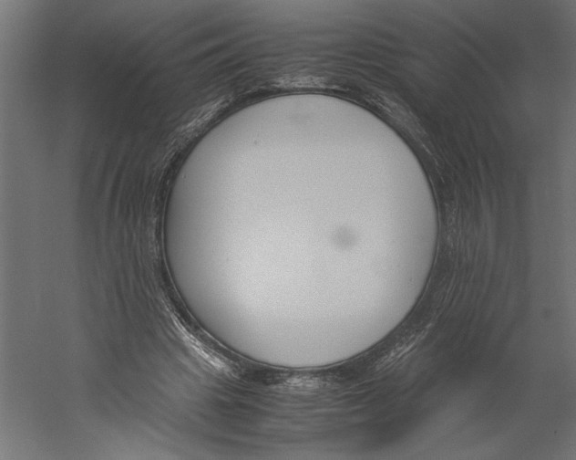 X0000060230441200511241311