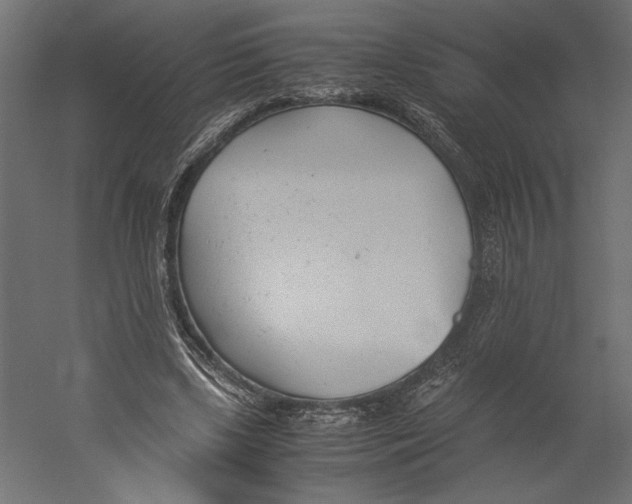 X0000060230443200511241311