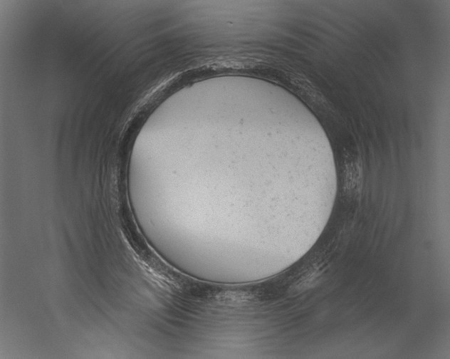 X0000060230444200511241311