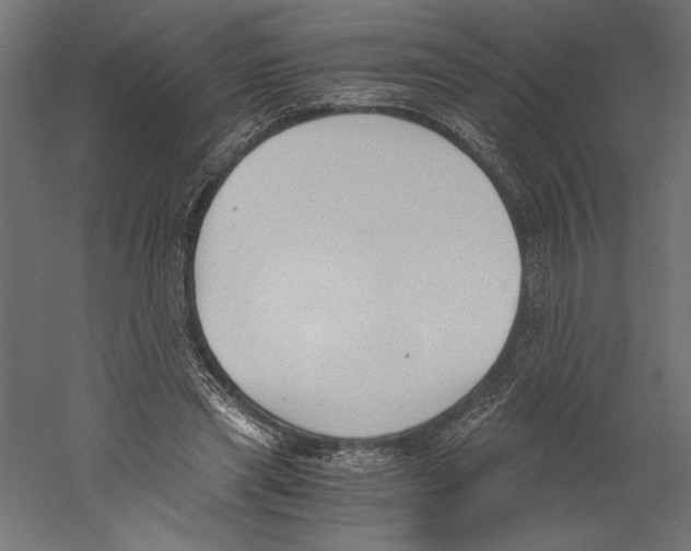 X0000060230445200511241311