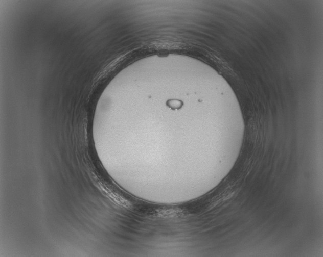 X0000060230446200511241311