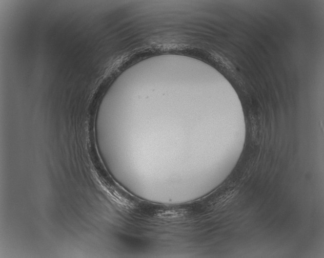 X0000060230447200511241311
