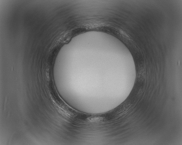 X0000060230452200511241311