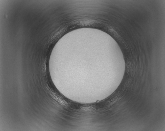 X0000060230454200511241311