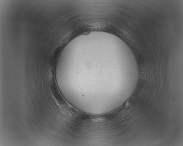 X0000060230456200511241311