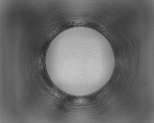 X0000060230460200511241311
