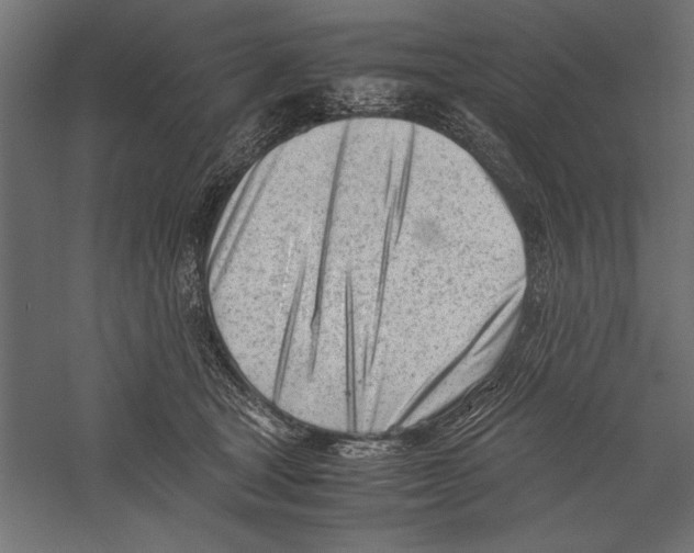 X0000060230465200511241311