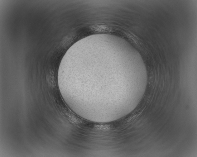 X0000060230469200511241311
