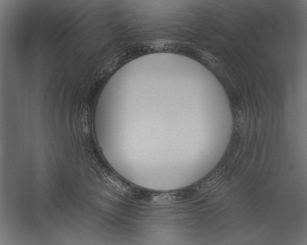 X0000060230470200511241311