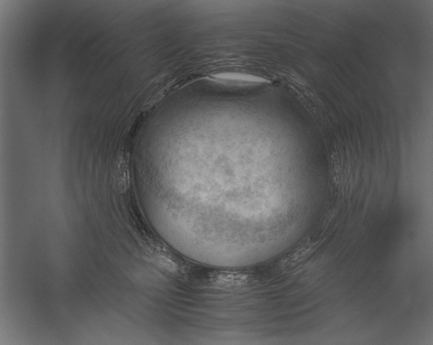 X0000060230471200511241311
