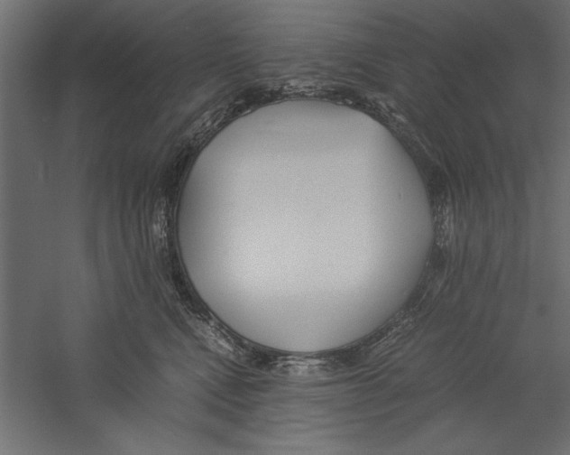 X0000060230472200511241311