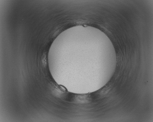 X0000060230479200511241311
