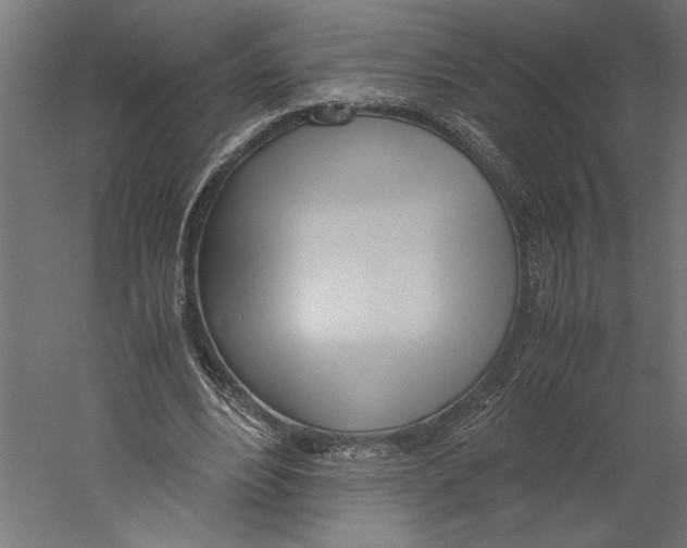 X0000060230488200511241310