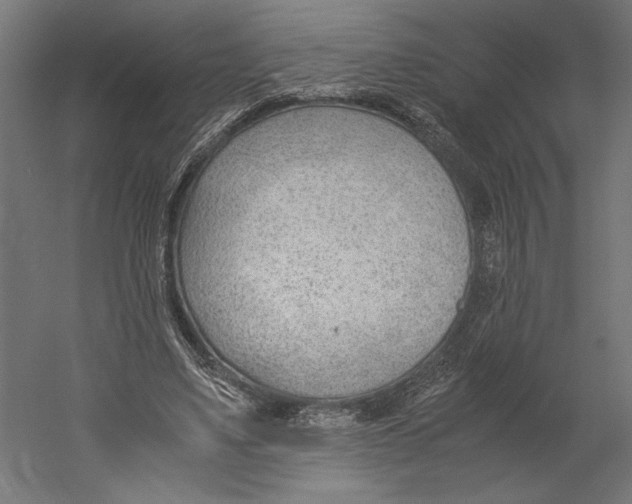 X0000060230491200511241310