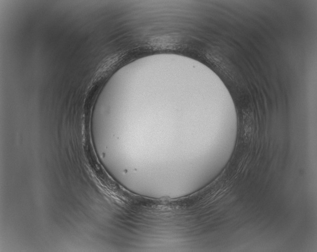 X0000060230494200511241310