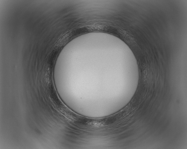 X0000060230498200511241310