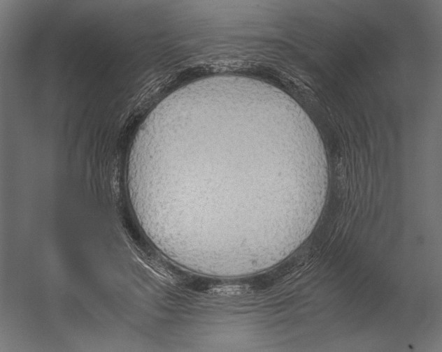 X0000060230499200511241310